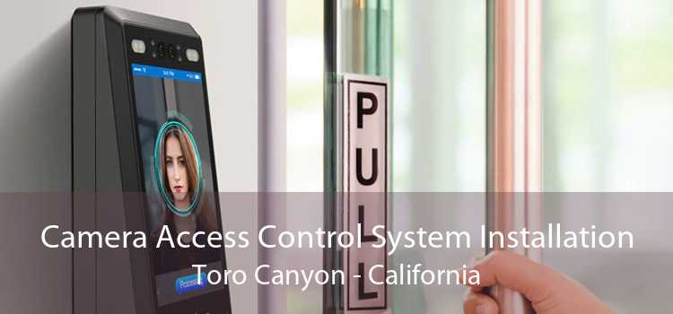 Camera Access Control System Installation Toro Canyon - California