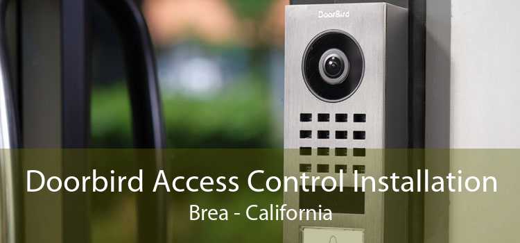 Doorbird Access Control Installation Brea - California
