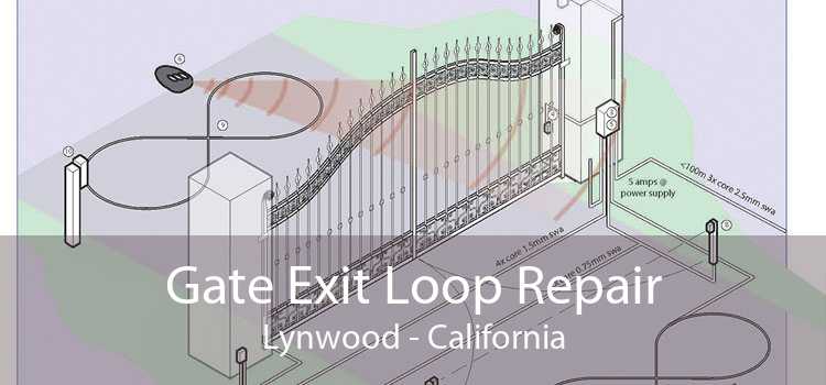 Gate Exit Loop Repair Lynwood - California