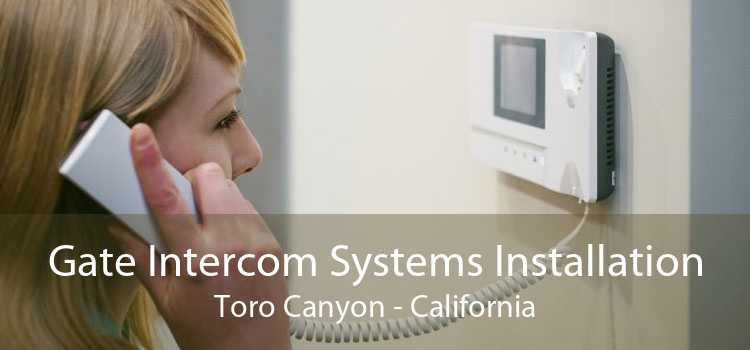 Gate Intercom Systems Installation Toro Canyon - California