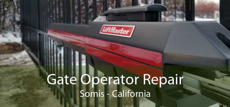 Gate Operator Repair Somis - California