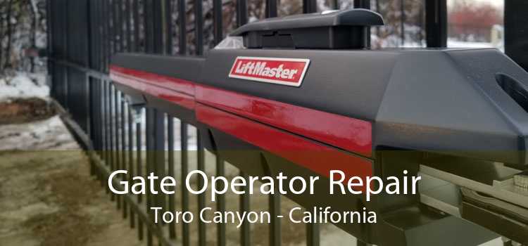 Gate Operator Repair Toro Canyon - California