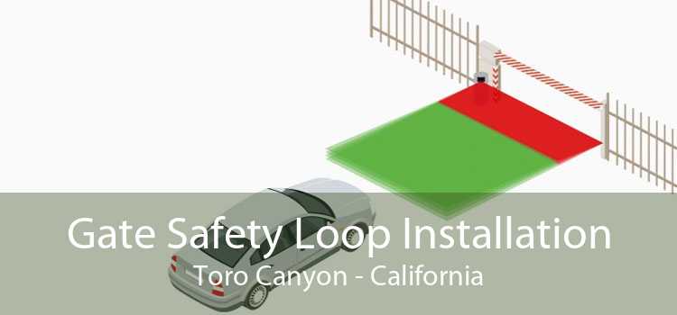 Gate Safety Loop Installation Toro Canyon - California