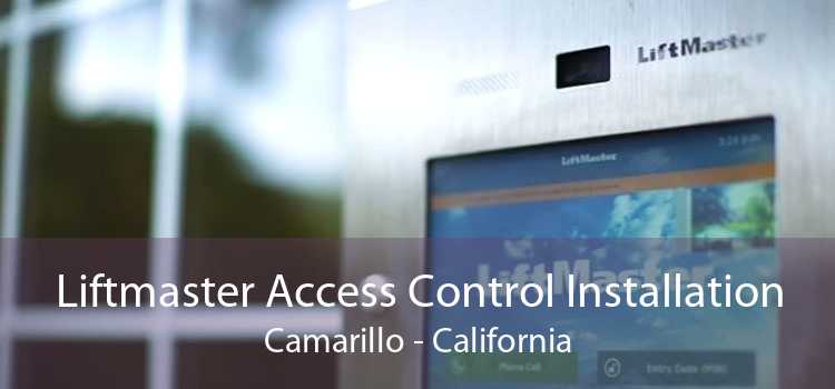 Liftmaster Access Control Installation Camarillo - California