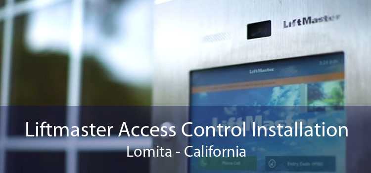 Liftmaster Access Control Installation Lomita - California