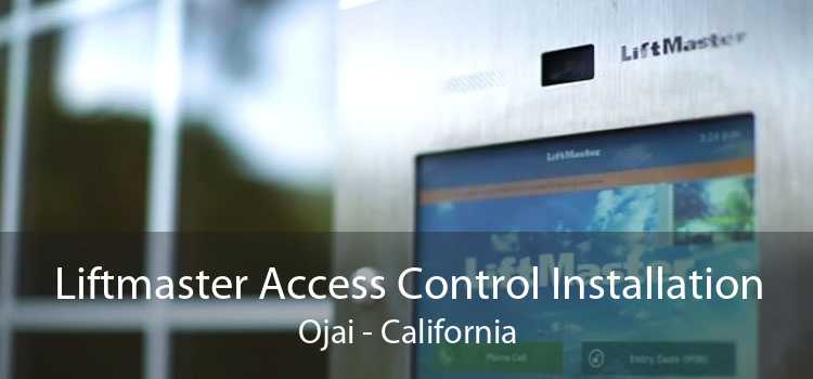 Liftmaster Access Control Installation Ojai - California