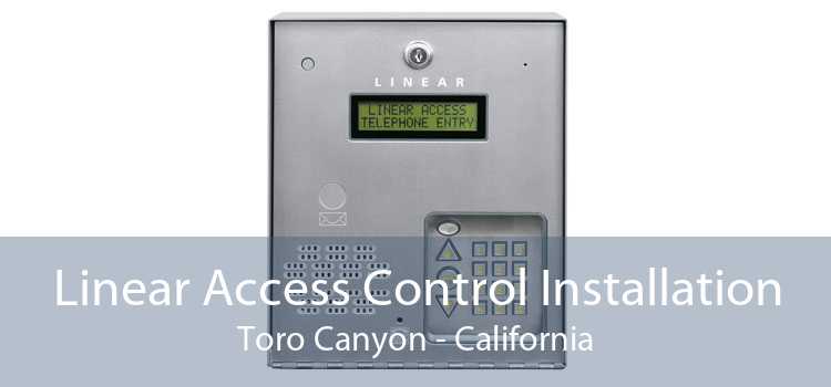 Linear Access Control Installation Toro Canyon - California