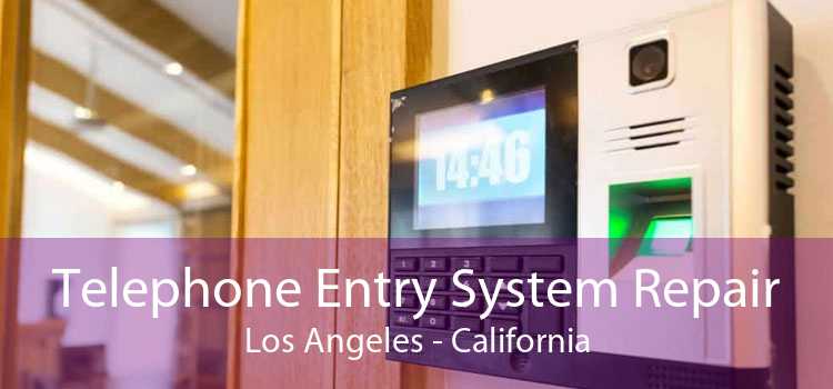 Telephone Entry System Repair Los Angeles - California