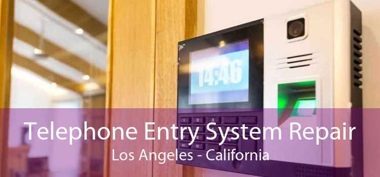 Telephone Entry System Repair Los Angeles - California